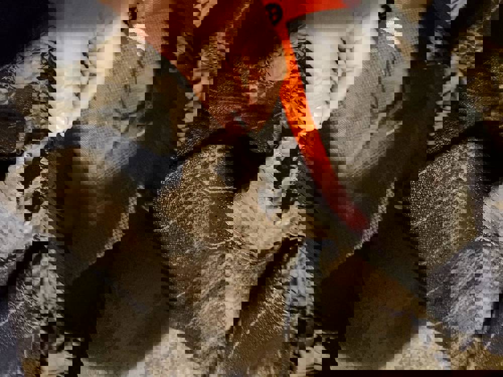563154
